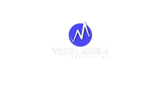 viswa minds logo png